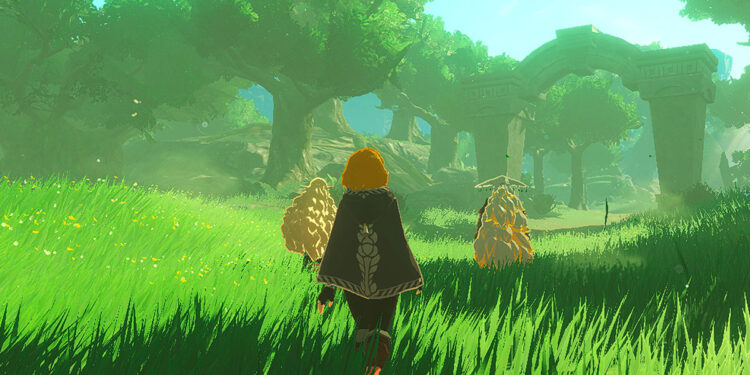 opiniones de Hyrule Warriors: La Era del Destierro