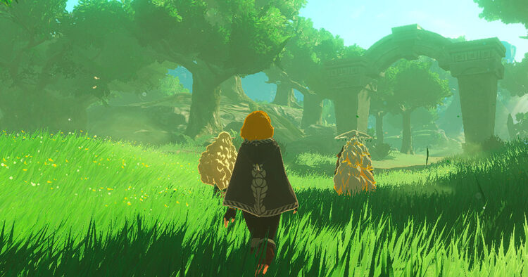 opiniones de Hyrule Warriors: La Era del Destierro