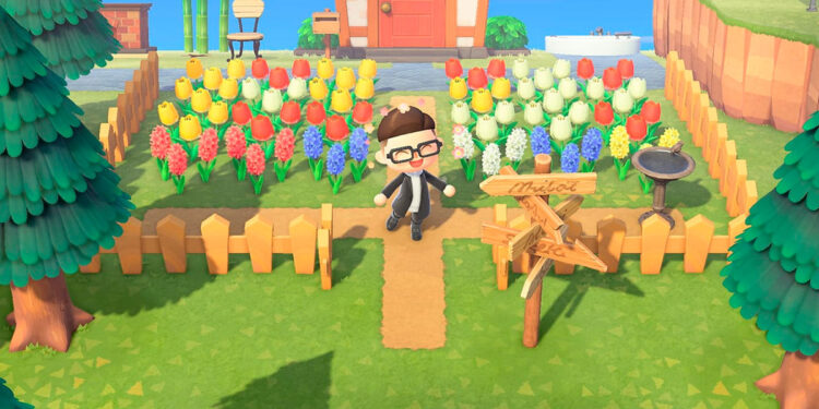 cómo transferir la isla de Animal Crossing a Nintendo Switch 2