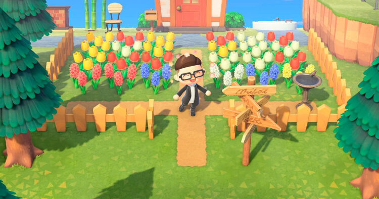 cómo transferir la isla de Animal Crossing a Nintendo Switch 2