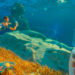 Las bases en Subnautica 2 cambian radicalmente con su nuevo sistema procedural